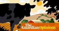 New reports tell us cattle and sheep farming can be sustainable – don’t believe them, it’s all bull | George Monbiot