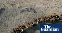 Ground zero: rain-starved southern Australia is grappling with one of the worst droughts in memory