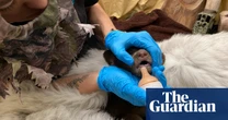 Cub found alone in US woods now being raised by wildlife staff in bear costumes