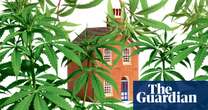 The cannabis farm scandal: how a rogue lettings agency destroyed countless homes