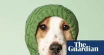 Humanish by Justin Gregg review – how much of a person is your pet?