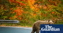 Hairpin bends and bears on the highway: readers’ favourite European road trips
