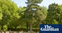 Dismay after Southampton airport gets permission to cut down cemetery trees