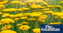Enjoy your garden’s spring glories – while keeping an eye on late summer