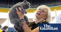 SofistiCAT 2024 international cat show – in pictures