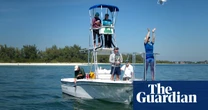 US scientists who deciphered dolphin whistles win prize for animal communication
