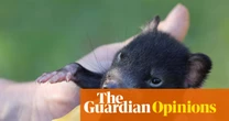The Tassie devils in my neighbourhood keep stealing shoes and laundry, but I adore them | Kelley Swain
