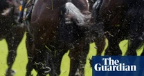 Talking Horses: Alphonse Le Grande hoping to buck the trend in Cesarewitch