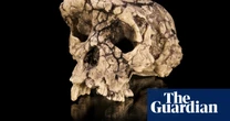The curse of Toumaï: an ancient skull, a disputed femur and a bitter feud over humanity’s origins
