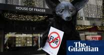 Mike Ashley’s Frasers Group to stop buying fur products