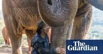 The elephant whisperer: one Thai woman’s lifelong quest to protect a rescued herd