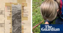Century-old papers saved from the bin reveal changes in Europe’s plant life