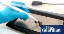 Medical research Knife that ‘smells tumours’ can detect womb cancer within seconds