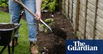 ‘Get rid of your green waste bin and let leaves rot into the soil,’ says garden expert