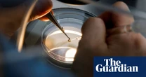 Why British women are freezing their eggs abroad – podcast