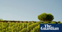 Popping the cork for crémant, the affordable alternative to champagne