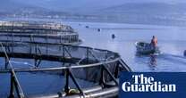 Labor’s bid to protect Tasmanian salmon industry met with unease from pro-environment MPs