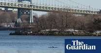 ‘Super exciting’ visit of dolphins to East River offers hope of cleaner New York