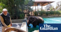 India’s supreme court orders inquiry into giant zoo run by son of Asia’s richest person