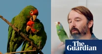 These parrots came to Los Angeles as pets – then went wild. Now scientists are unlocking their mysteries