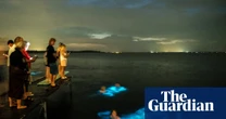 Bioluminescent algae’s blue light harnessed to make 3D-printed shapes