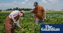 ‘A slap in the face’: small farmers say Trump is turning his back on them