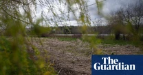 The unlikely alliance pressing Trump to regulate Pfas on US farms: ‘This is a basic human right’