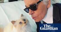 TV tonight TV tonight: did Karl Lagerfeld really leave his fortune to his pet cat?