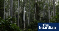 Australia’s major food companies failing nature, report finbds