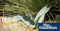RHS asks for gardeners’ successes and failures to plan for changing climate