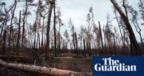 Forest fires push up greenhouse gas emissions from war in Ukraine