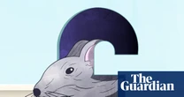 Rats! How to banish rodents, bedbugs and other pests from your home