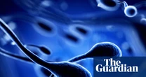 Air pollution linked to DNA changes in sperm, research shows