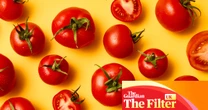 ‘Proof that delicious tomatoes can be grown in the UK’: the best supermarket vine tomatoes, tasted and rated