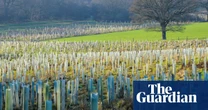 A useful enemy? Why Tories and Reform are calling net zero policy into question