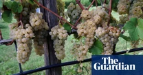 There’s more to Italian sparkling wine than prosecco