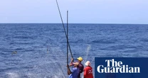 Just a pole and line, like they fished as boys: how a Maldives tradition is ensuring tuna stocks thrive