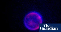 ‘Beautiful blobs’: can scientists build life from scratch? – podcast