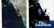 DeSantis urged to declare emergency over toxic red tide algae off Florida coast