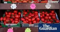 UK’s post-Brexit checks on fruit and vegetables delayed for a third time