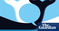 We’re close to translating animal languages – what happens then?