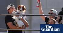 Shohei Ohtani and very good boy Decoy steal show at Dodgers’ World Series parade