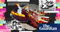 Small but feisty: the clever cuttlefish that changes colour to bedazzle predators
