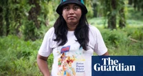 Death threats and falsehoods among online abuse reported by land and climate defenders