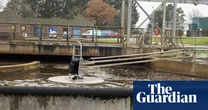 Millions of tonnes of toxic sewage sludge spread on UK farmland every year