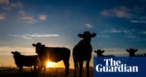 Farmers launch fresh campaign for NSW to cut daylight saving