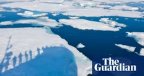 Dramatic slowdown in melting of Arctic sea ice surprises scientists