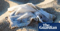 Spain to ban flushing of wet wipes, with manufacturers paying clean up costs