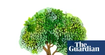 How many trees a day do we cut down for paper? The kids’ quiz