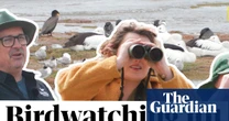 How do you even birdwatch? A comedian and birdwatching champion explain – video